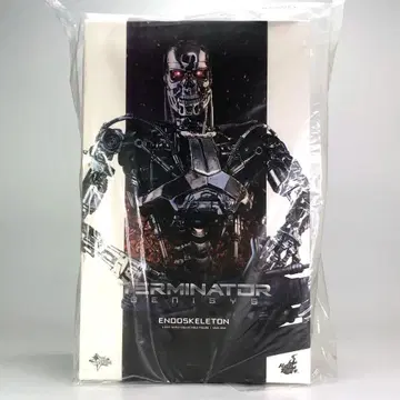 터미네이터 신기동 [엔드 스켈레톤] 무비 마스터피스 HOT TOYS
