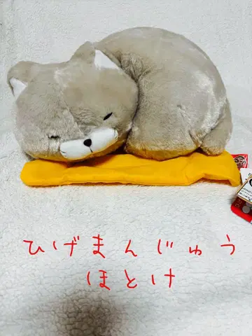히게만주 호토케