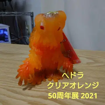 헤도라 클리어 오렌지 50주년 전시 2021