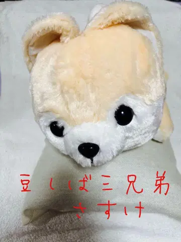 콩시바 삼형제 사스케