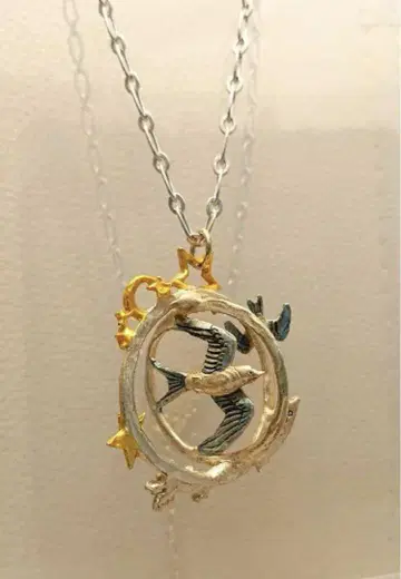 파르나토팍 새 목걸이