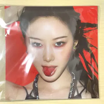 aespa Rich Man BAG Ver. 사진 시트 지젤