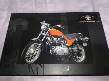 MINICHAMPS 트라이엄프 허리케인 X75 1:12 스케일