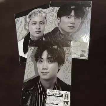 코무돗토 클리어 파일 3장 세트