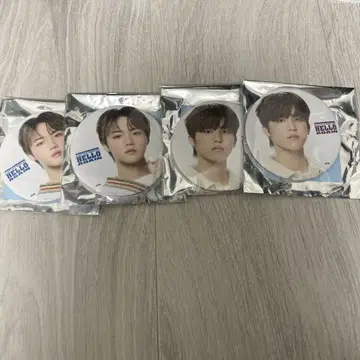 팬미팅 캔뱃지 도영 정우