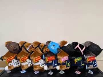 서러브레드 컬렉션 BIG 1두 1,350엔 x 7두 세트