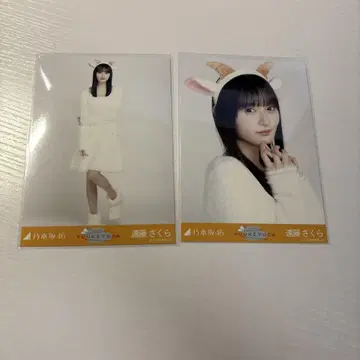 노기자카46 엔도 사쿠라 브로마이드 곤조 머리띠 요리 히키