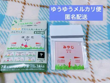 PIKMIN JR 규슈 역명판 시크릿