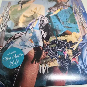 Cibo Matto Women in Music