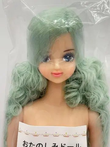 사야카 오타노시미 인형 민트 계열 리카짱 캐슬 제니 프렌드