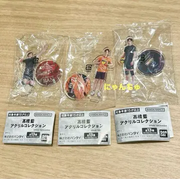 타카하시 아이 아크릴 컬렉션
