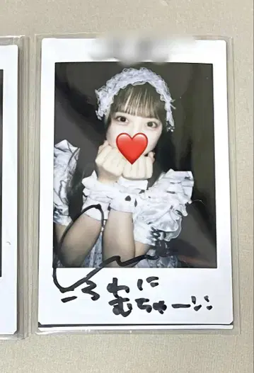 논피크! 코르네 폴라로이드