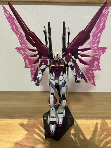 RG 데스티니 임펄스 건담