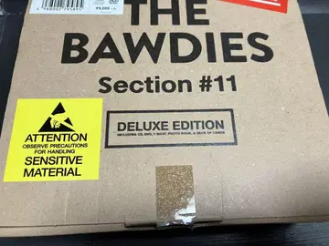 9,000엔+세금 THE BAWDIES Section #11