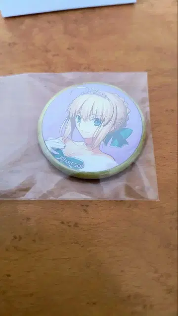 FGO 페이트 그랜드 오더 세이버
