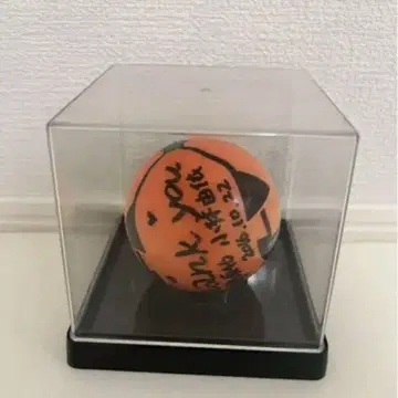 코바야시 유이 사인 포함 공 46