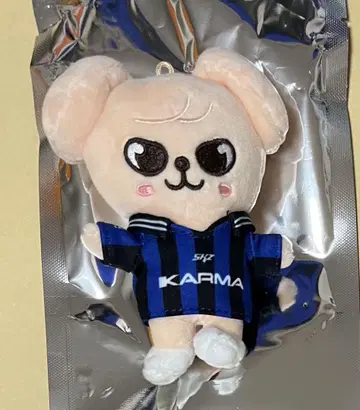 stray kids KARMA skzoo ver. 키링 퍼핌
