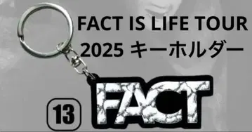 FACT 로고 키링 파크토