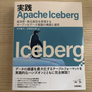실천 Apache Iceberg 고효율 고생산성을 실현하는 오픈 데 -