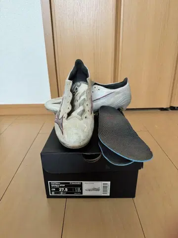 Mizuno 알파 재팬 27.5cm