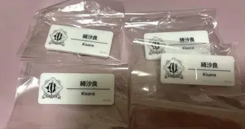 니지산지 니지 페스티벌 2025 네임 배지 키사라