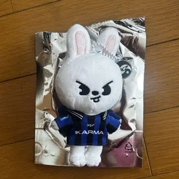 straykids 스키즈 karma 리비트 skzoover