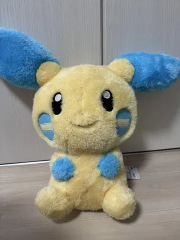 포켓몬스터 마이농 봉제 인형