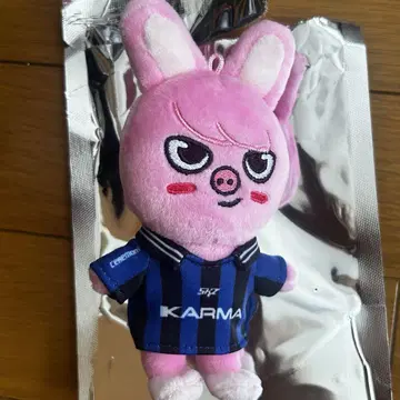 straykids karma skzoover 돼끼