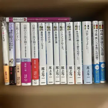 bl 소설 묶음 판매