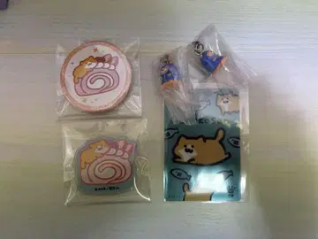 오분구와 함께 새끼 고양이 씨