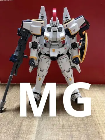 MG 1/100 톨기스 EW