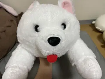 화이트 강아지 봉제 인형