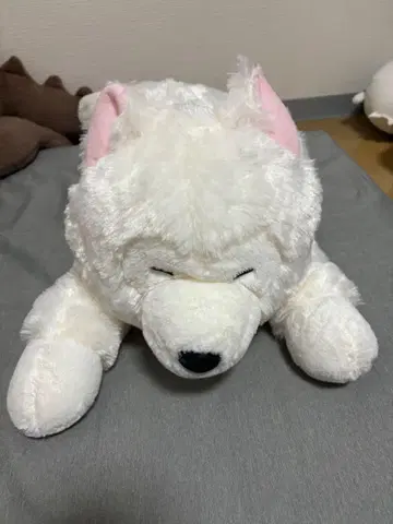 추워 모두들 화이트견 봉제 인형