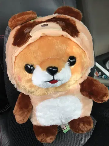 콩시바 삼형제 포테구루미 너구리 콩타로