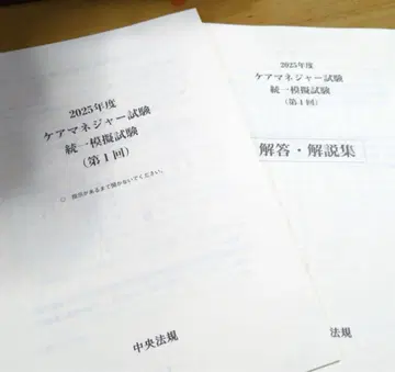 2025 케어매니저 모의시험 중앙법규 1, 2회 세트