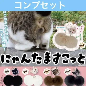 냥타마 스코토 고양이 캡슐 토이 전종