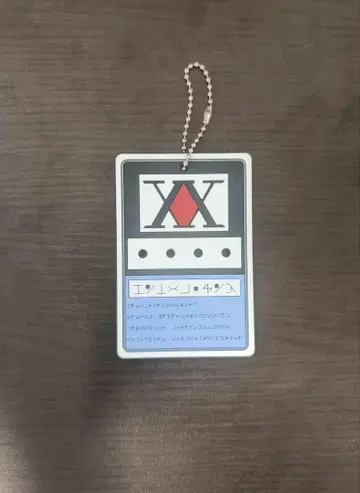 HUNTER x HUNTER 헌터 라이선스 네임 키링