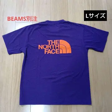 THE NORTH FACE BEAMS 별주 T셔츠 2