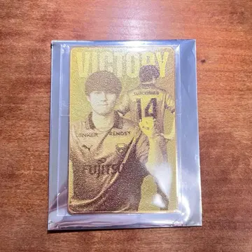 가와사키 프론탈레 와키사카 야스토 카드 메탈 카드 안타가다이쇼 가챠후로
