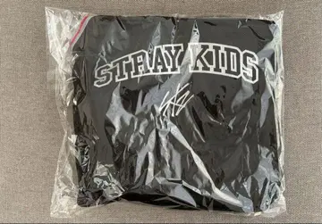 Stray Kids