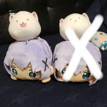 주문은 토끼입니까?? 치노 봉제 인형