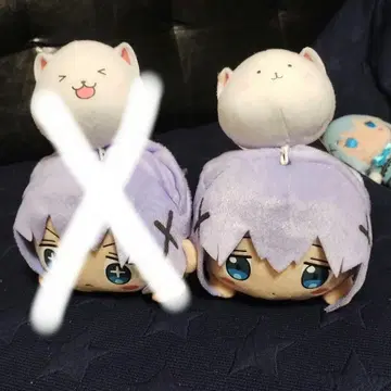 주문은 토끼입니까?? 치노 봉제 인형