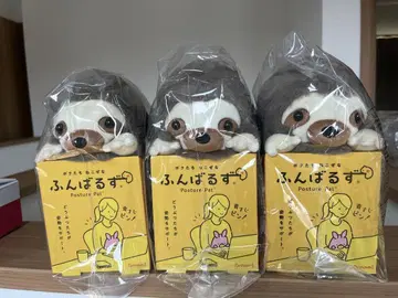 훔바루즈 포스처 팔 나마케모노 3개