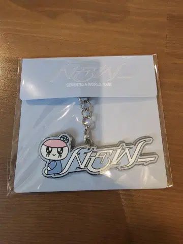 SEVENTEEN WORLD TOUR NEW 메탈 키링