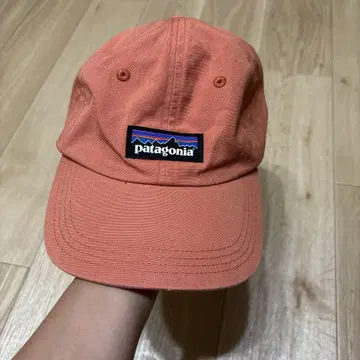 patagonia 캡