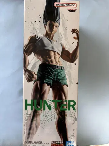 HUNTER x HUNTER 곤 프리크스 피규어
