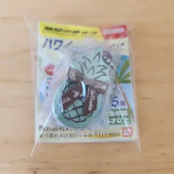 하와이 기념품 미니어처 컬렉션