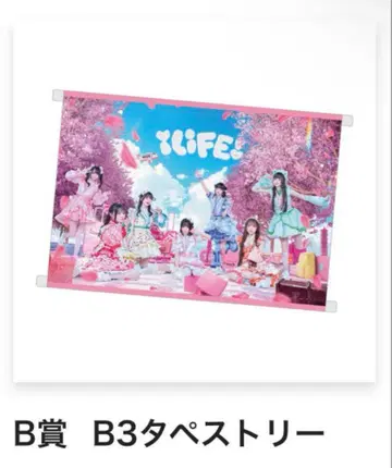 iLiFE! B3 태피스트리