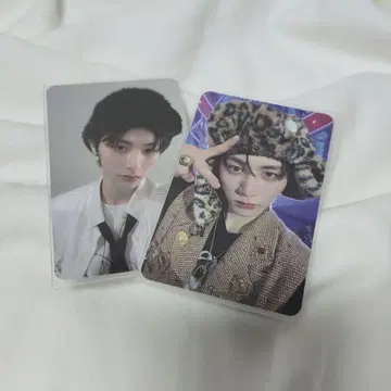 boynextdoor 태산 올리브영 트레이딩 카드