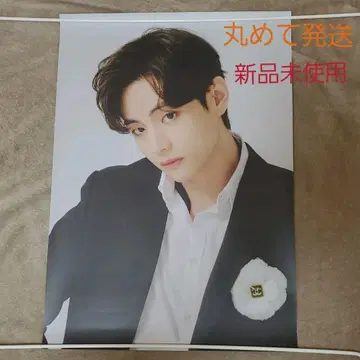 BTS [ 2021 NEW YEAR'S ] 포스터 태현
